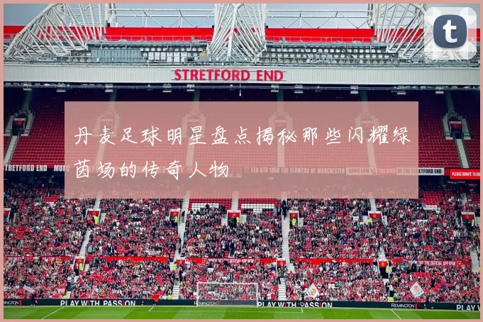 丹麦足球明星盘点揭秘那些闪耀绿茵场的传奇人物